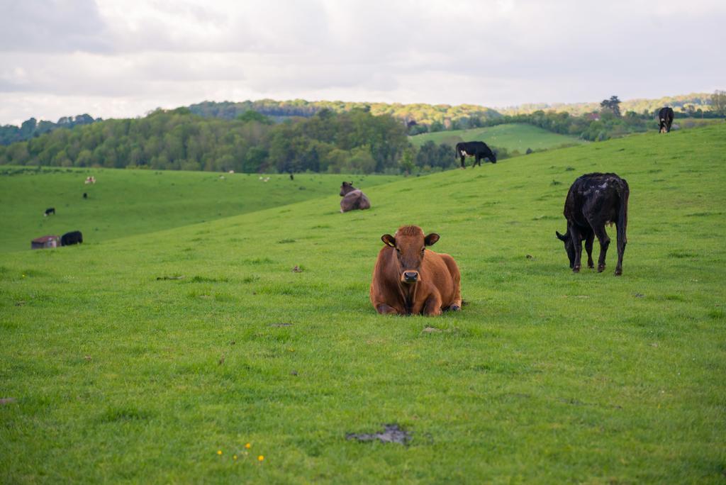 Huntlands Farm Bed & Breakfast Бромярд Экстерьер фото